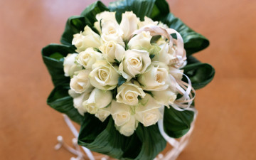 Картинка цветы розы