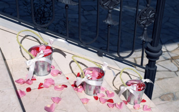 Картинка цветы розы