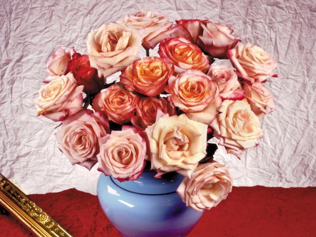 Обои картинки фото цветы, розы