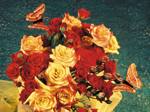 Обои картинки фото цветы, розы