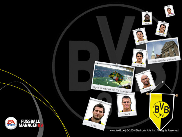 Обои картинки фото видео, игры, fifa, manager, 09