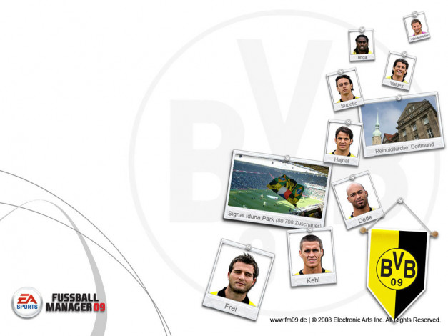 Обои картинки фото видео, игры, fifa, manager, 09