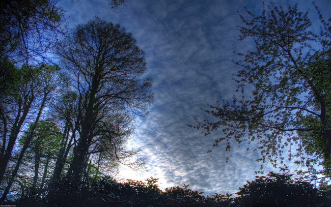 Обои картинки фото природа