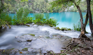 Картинка природа реки озера растительность ручей река