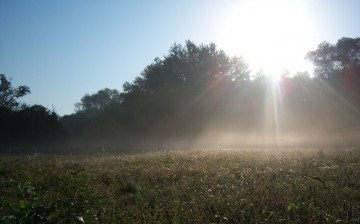 Картинка природа восходы закаты туман небо солнце деревья