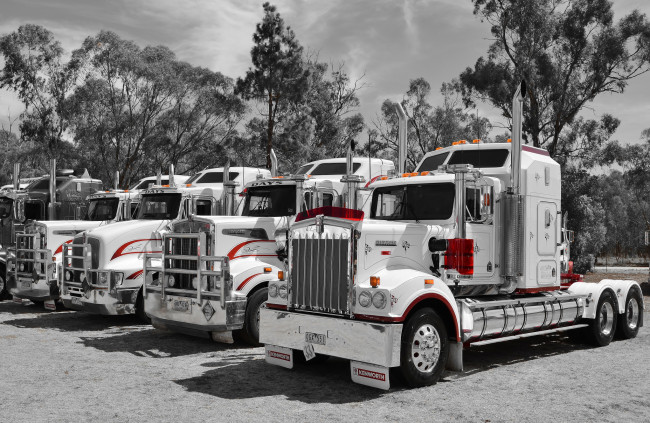 Обои картинки фото kenworths, автомобили, kenworth, truck, company, грузовые, автобусы, сша