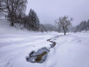 Картинка природа зима снег деревья