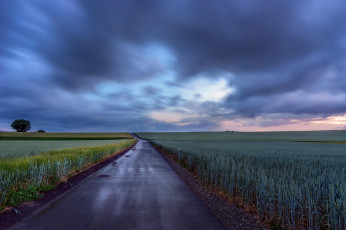 Картинка природа дороги поле дорога