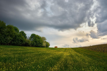 Картинка природа поля облака поле