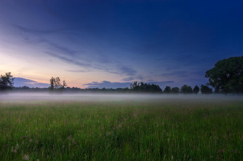 Картинка природа поля оьлака поле