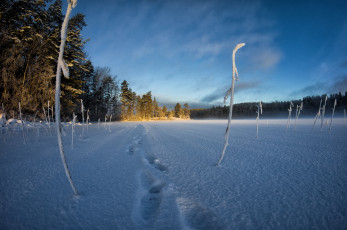 Картинка природа зима снег