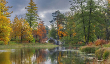 Картинка природа парк мост