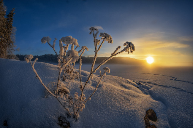 Обои картинки фото природа, зима, рассвет