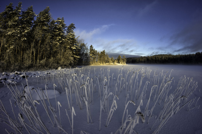 Обои картинки фото природа, зима, снег