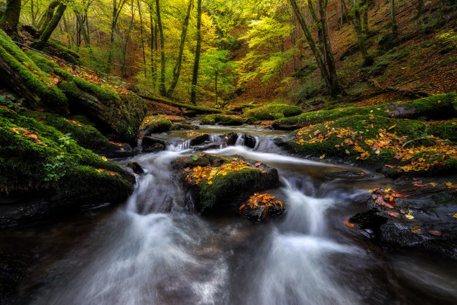 Обои картинки фото природа, реки, озера, камни, поток