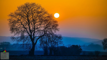 Картинка календари природа деревья 2018