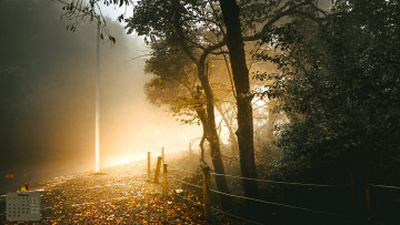 Картинка календари природа изгородь деревья 2018