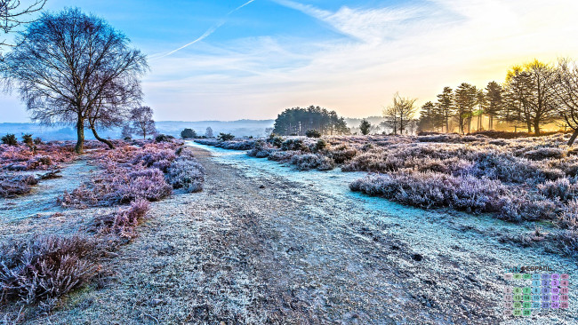 Обои картинки фото календари, природа, 2018, деревья, снег, дорога