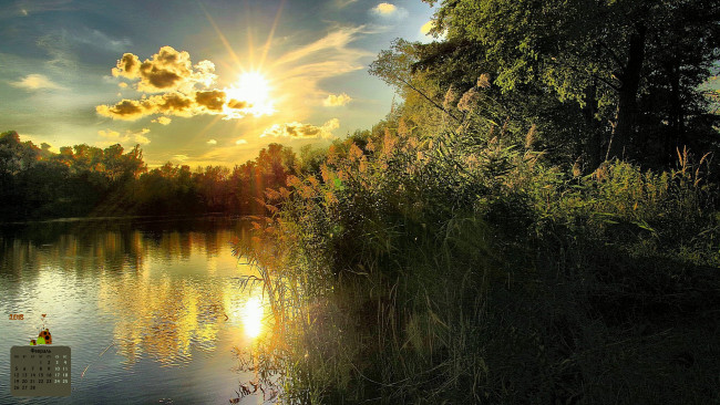 Обои картинки фото календари, природа, камыш, водоем, 2018, отражение, деревья