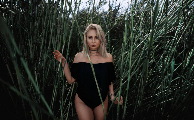 Обои картинки фото девушка, девушки, -unsort , блондинки,  светловолосые, модель