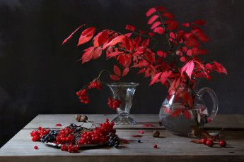 Картинка еда натюрморт снедь