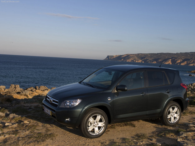 Обои картинки фото 2006, toyota, rav4, автомобили