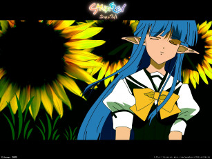 Картинка аниме shuffle