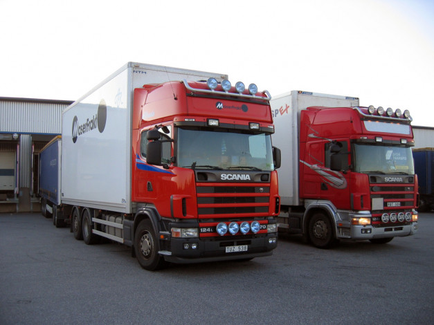 Обои картинки фото автомобили, scania