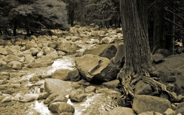 Картинка природа