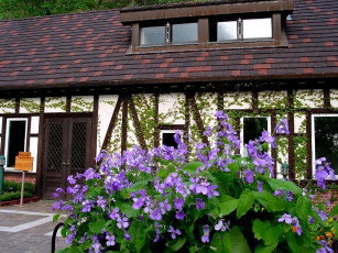 Картинка города здания дома