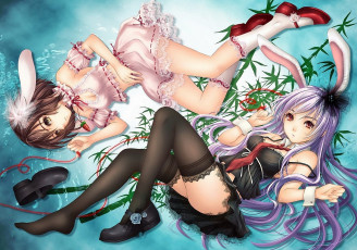 Картинка аниме animals кроличьи чулки бамбук лента цветок уши девушки