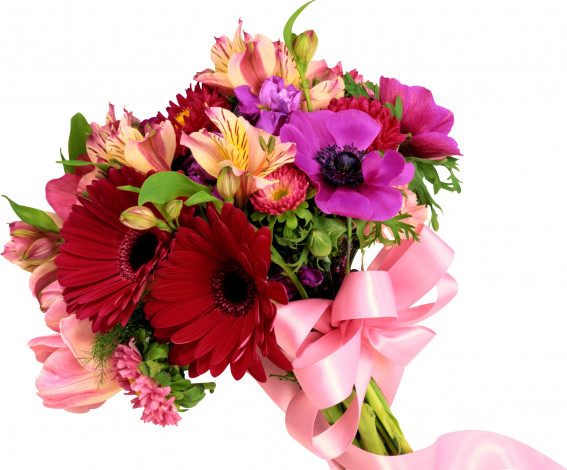 Обои картинки фото цветы, букеты, композиции, альстомерия, герберы, маргаритки, анемоны, лента