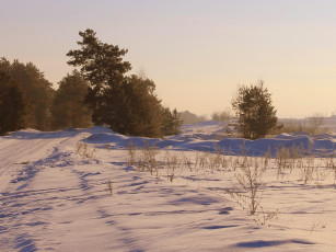 Картинка природа зима снег