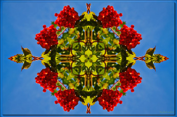 Картинка разное компьютерный дизайн калина