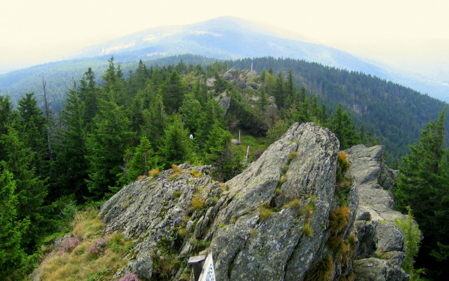 Обои картинки фото природа, горы, деревья