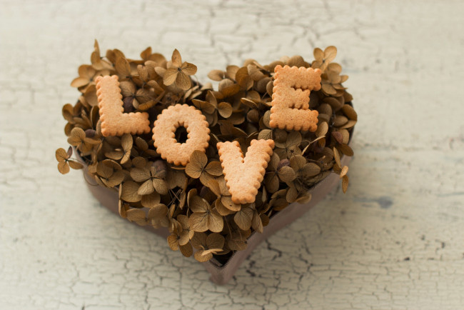 Обои картинки фото праздничные, день, св, валентина, сердечки, любовь, сердце, гортензия, печенье