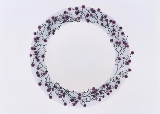 Обои картинки фото цветы, лепестки, венок