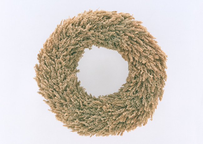 Обои картинки фото цветы, венок, лепестки