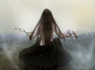 Картинка фэнтези фотоарт волосы змеи