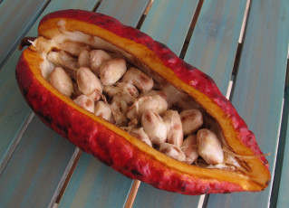 Картинка еда разное просушка какао-бобы