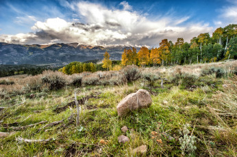 Картинка природа горы трава камни лес поле