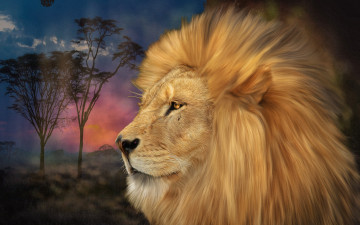 Картинка рисованные животные деревья лев