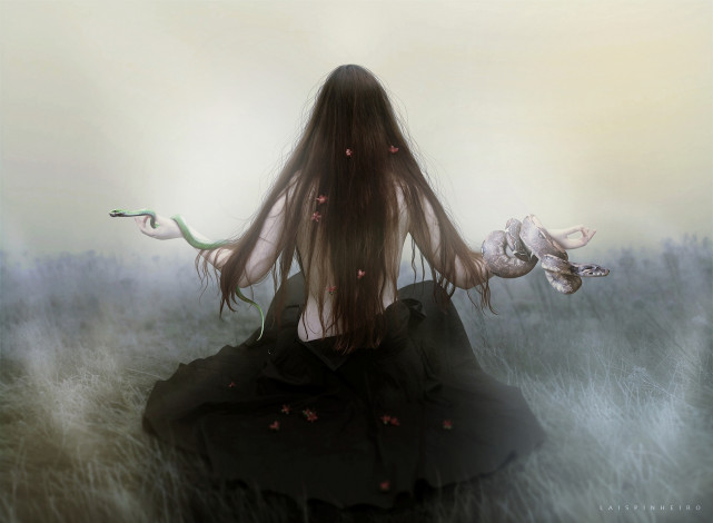 Обои картинки фото фэнтези, фотоарт, волосы, змеи