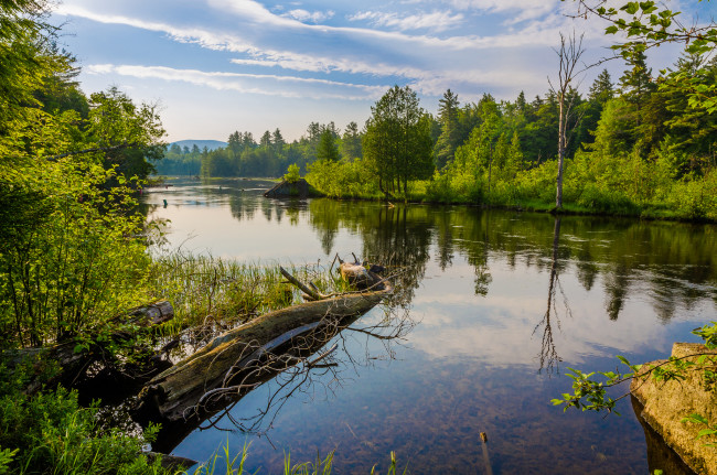 Обои картинки фото природа, реки, озера, лес, река, лето, облака