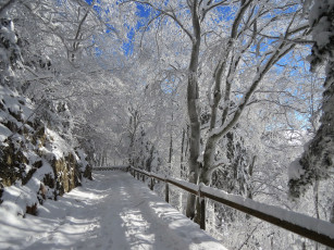 Картинка природа дороги снег деревья дорога