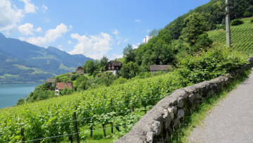 Картинка города -+пейзажи лес горы дома