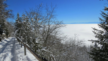 Картинка природа дороги снег деревья дорога