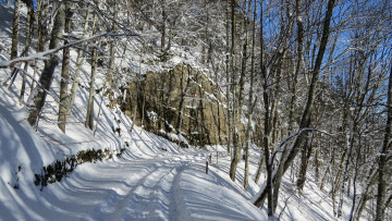 Картинка природа дороги снег деревья дорога