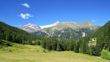 Картинка природа горы лес