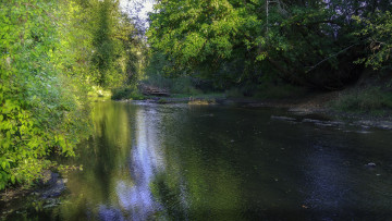 Картинка природа реки озера лес река